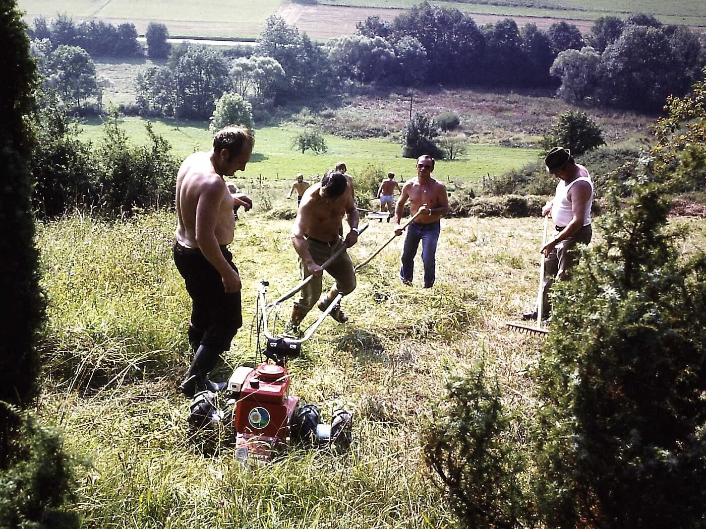 Galgenbergwiese biotoppflege 1982 September
