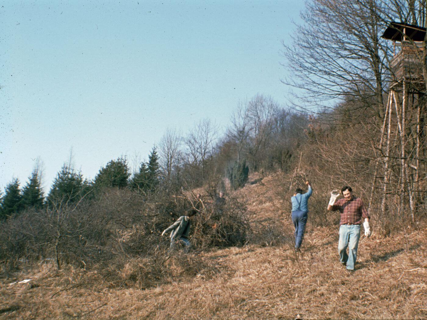 Biotoppflege 1982